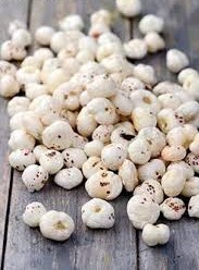 seed_lac